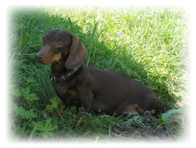 DSCN4567.JPG