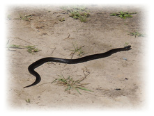 DSCN4569.JPG