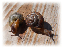 DSCN4576.JPG