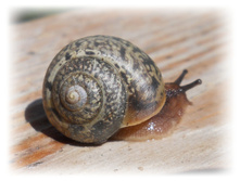 DSCN4580.JPG