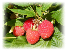 DSCN4588.JPG