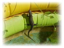 DSCN4592.JPG