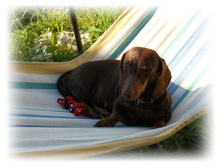 DSCN4607.JPG