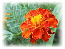 DSCN4725.JPG