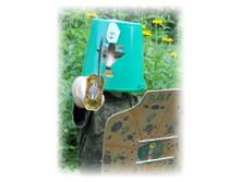 DSCN4730-2.JPG