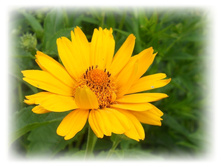 DSCN4733.JPG