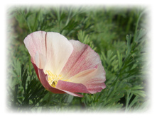 DSCN4753.JPG
