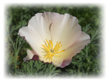 DSCN4755.JPG