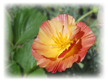 DSCN4757.JPG