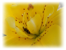 DSCN4786.JPG