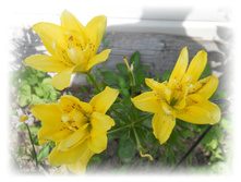 DSCN4787.JPG