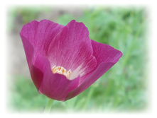 DSCN4793.JPG