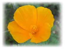 DSCN4795.JPG