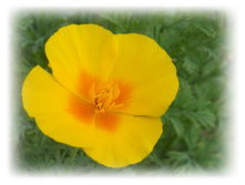 DSCN4796.JPG