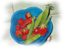 DSCN4802.JPG