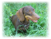 DSCN4805.JPG