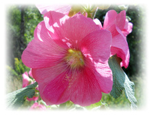 DSCN4844.JPG