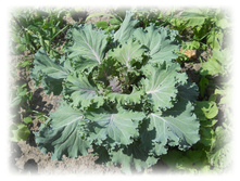 DSCN4845.JPG