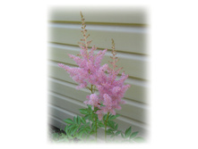 DSCN4850.JPG