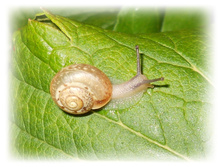 DSCN4889.JPG