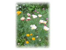 DSCN4894.JPG