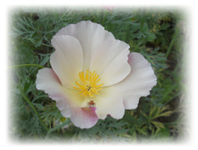 DSCN4895.JPG