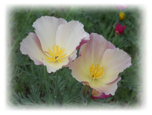 DSCN4896.JPG