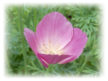DSCN4899.JPG