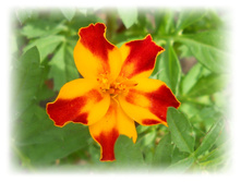 DSCN4911.JPG