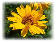 DSCN4978.JPG