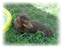 DSCN4979.JPG