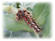 DSCN4980.JPG