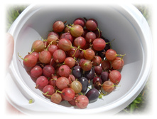 DSCN4988.JPG