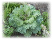 DSCN5042.JPG