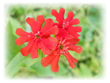DSCN5045.JPG