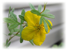 DSCN5046.JPG