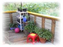 DSCN5047.JPG
