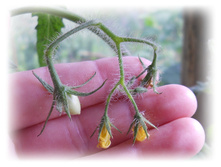 DSCN5051.JPG