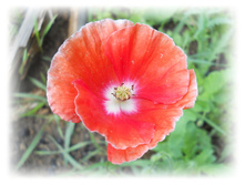 DSCN5052.JPG