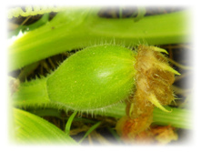 DSCN5061.JPG