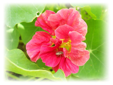DSCN5081.JPG