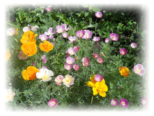 DSCN5083.JPG