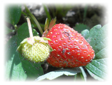 DSCN5085.JPG