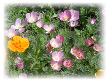 DSCN5089.JPG