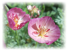 DSCN5090.JPG