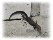 DSCN5105.JPG