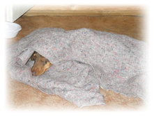 DSCN5110.JPG