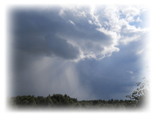 DSCN5113.JPG