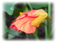 DSCN5127.JPG