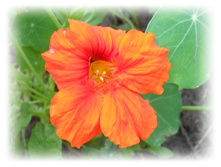 DSCN5130.JPG